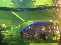 -尚泰清迈机场购物中心