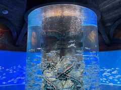 -波塞冬海底世界