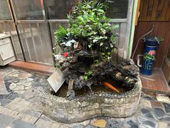 -龙凤美食(汇都店)