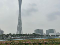 -广州塔