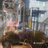 魔都后花园网红最美商场