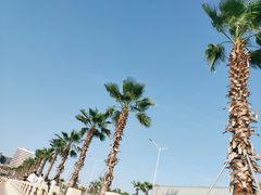 -宝安西湾红树林湿地公园