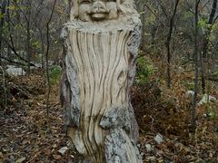 -原山国家森林公园