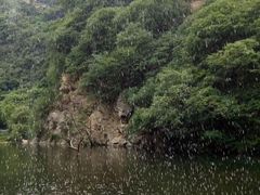 -少华山国家森林公园