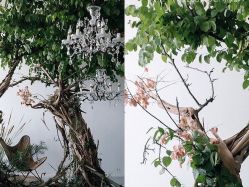 -In March三月艺术婚礼