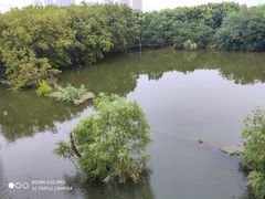 -汉水公园