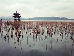 -星巴克(西湖天地店)