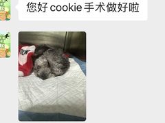 -佳雯宠物医院·皮肤科·内外科(春晓路分院)