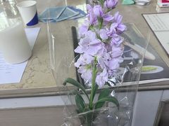 -LIENOW来闹密室剧本推理&狼人杀(李家村万达广场店)