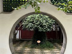 -上海醉白池公园