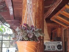 -张家港凤凰山景区河阳山歌馆