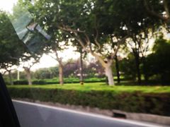 -华东政法大学(松江校区)