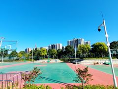 -宝安西湾红树林湿地公园