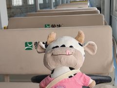 -蒙牛工业旅游景区