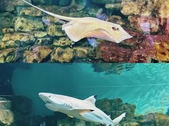 -宁波杭州湾国家湿地公园