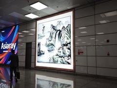 -郑州新郑国际机场-T2航站楼