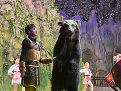 -灵玲国际马戏城