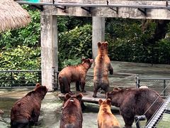 -深圳野生动物园