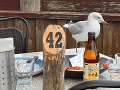 -12 Rocks Beach Bar Cafe