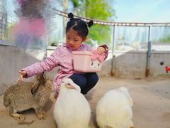 -前小桔亲子创意农场·草莓采摘·露营烧烤