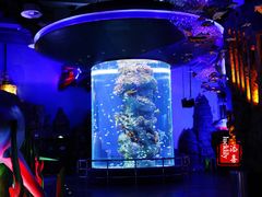 -芜湖新华联大白鲸海洋公园