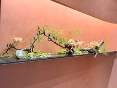 -醉东Oriental House(静安嘉里中心店)