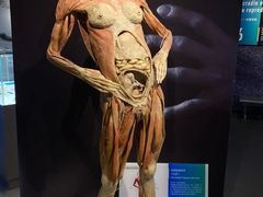 -生命奥秘博物馆
