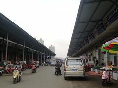 -海吉星市场