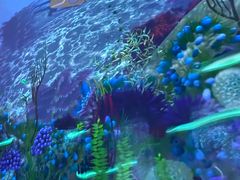 -珠海横琴国家地理探险家中心(创新方)