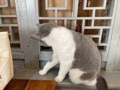 -后海16号·北京私房菜