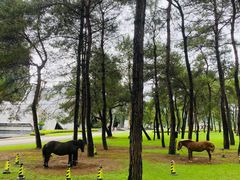 -Club Med地中海俱乐部·桂林度假村