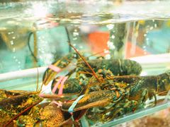 -有腥气私房菜·寻味顺德