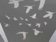 -中国湿地博物馆