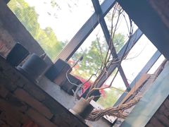 -几荷·恰似故人来(秀水广场店)