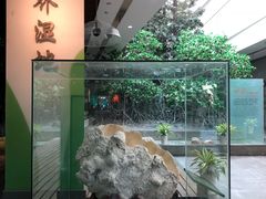 -中国湿地博物馆