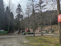 -武陵山森林公园