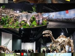 -遇见博物馆(遇见海洋沉浸式奇幻光影展)