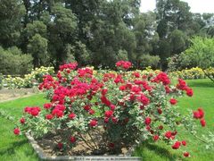 -天津东丽湖风景区