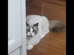 -上海沪太花鸟奇石市场·停车场