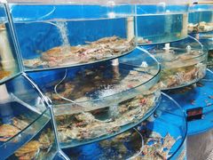 -蓝珊甄选海鲜自助·火锅大排档(近阿那亚店)
