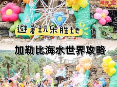 -重庆海昌加勒比海水世界