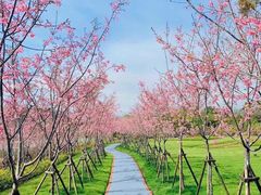 -福建鲤鱼洲酒店