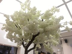 -艾薯夫妇Aysh(福田星河COCOPark店)