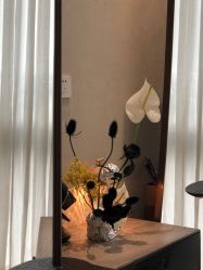 -ARC弧线沙龙