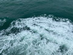-海安新港(公交站)