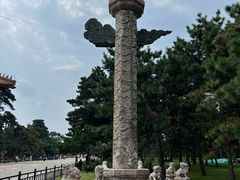 -北陵公园