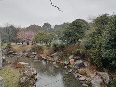 -白马涧龙池景区