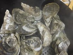 -蚝专家(北滘店)