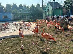 -秦皇岛野生动物园