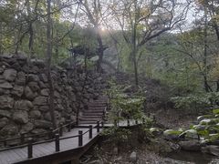 -国家植物园南园